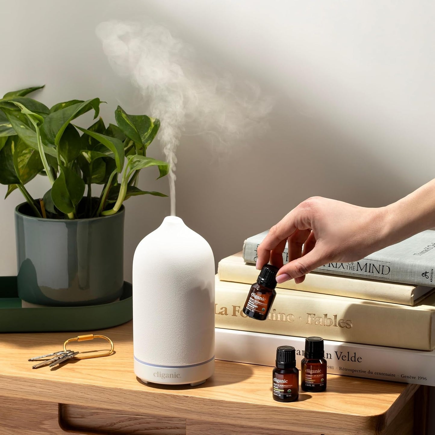 Natural Aromatherapy Essential Oil Starter Kit 6pc