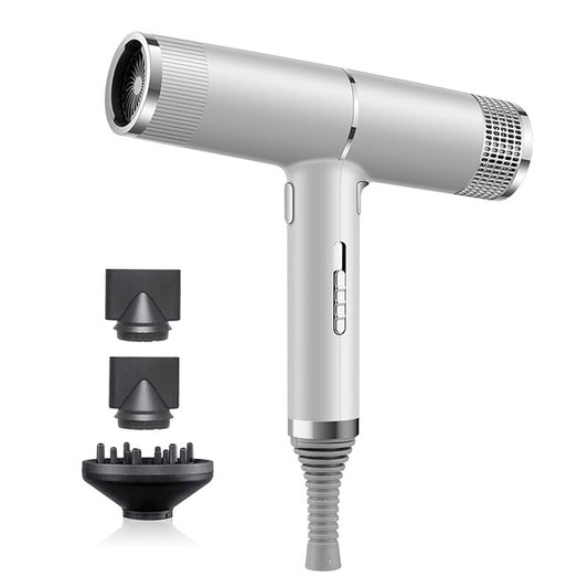 Professional Ionic Blow Hair Dryer