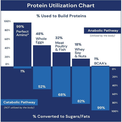 Premium Probiotic Capsules for Gut Health Support