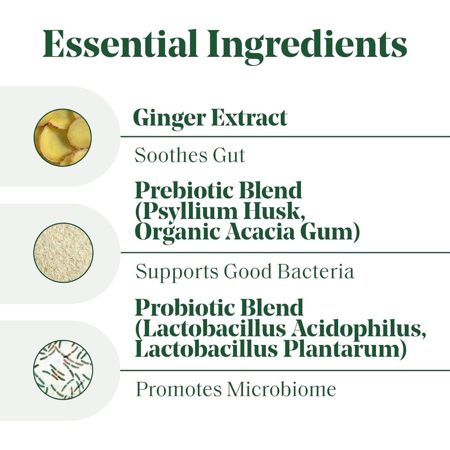 Probiotic Supplement for Women - 60 Capsules Daily Health