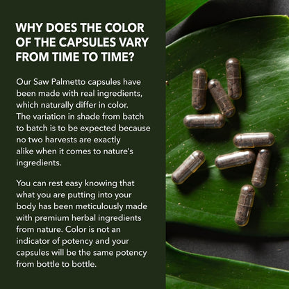 Saw Palmetto Supplement for Prostate and Hair Health