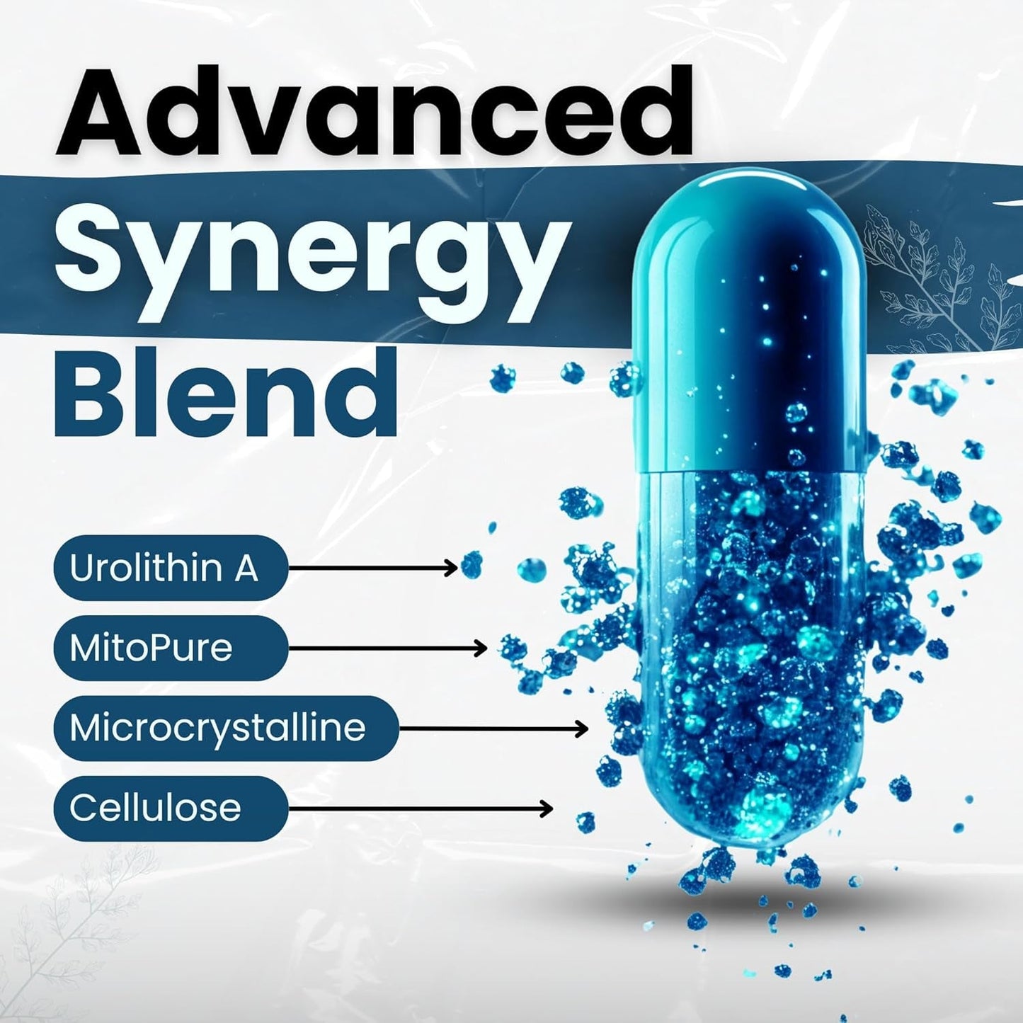 Powerful Anti Aging Supplement with Urolithin A