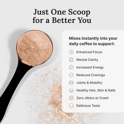 Premium Mocha Coffee Creamer for Energy and Focus