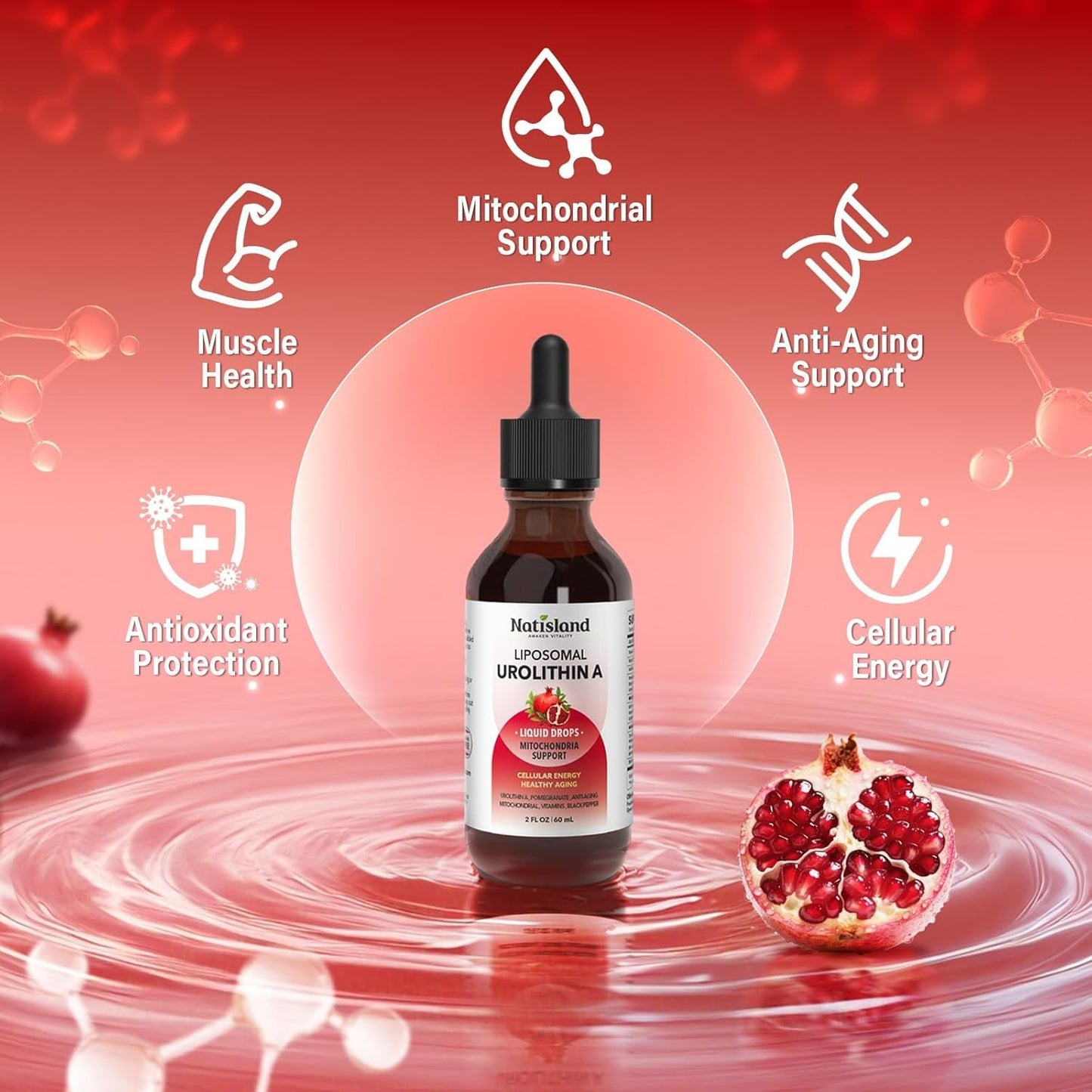 Powerful Anti Aging Liposomal Urolithin A Liquid Drops
