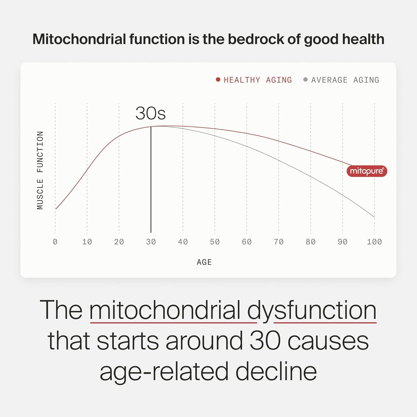 Premium Urolithin A Softgels for Cellular Health Boost