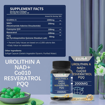 Premium Urolithin A Capsules - Energy Boost and Antioxidant