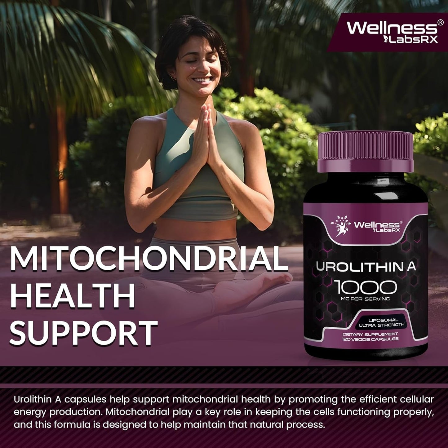Powerful Anti Aging Cell Renewal Supplements