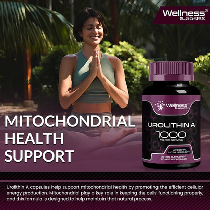 Powerful Anti Aging Cell Renewal Supplements