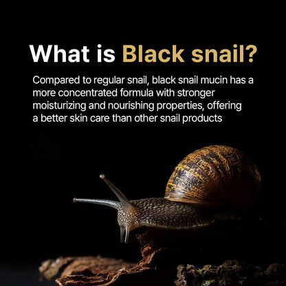 Anti Aging Serum with Snail Extract & Peptides