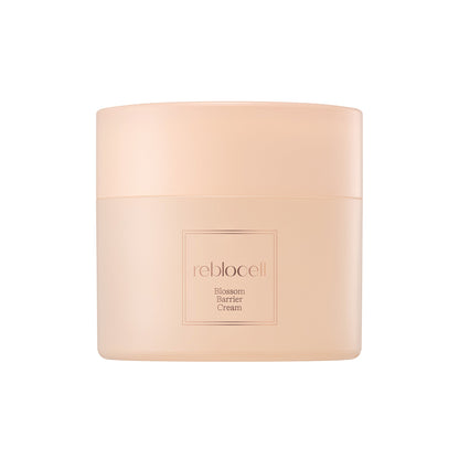 Moisturizing Skin Protect Cream 50ml
