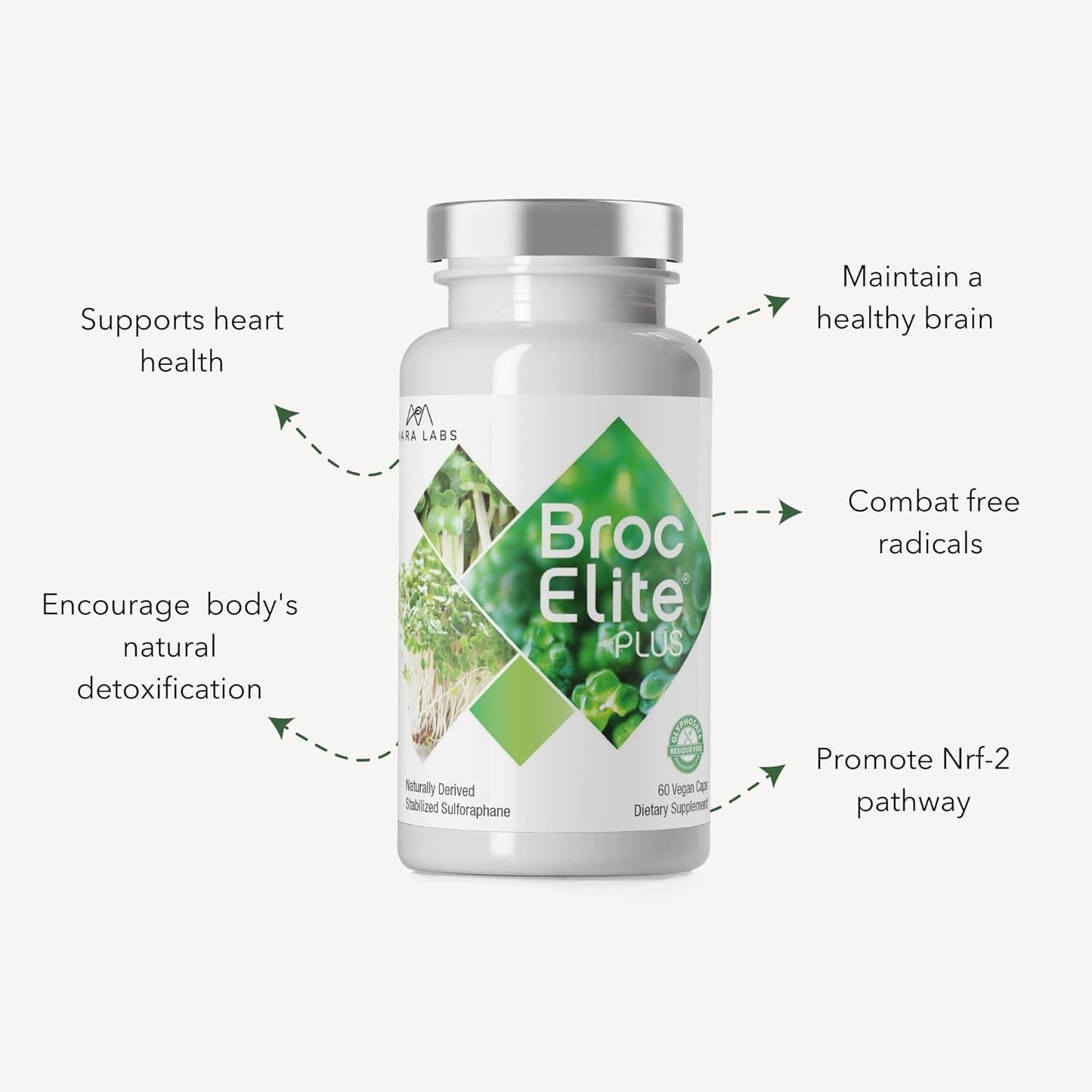 Premium Immune Boost Supplement 60 Capsules