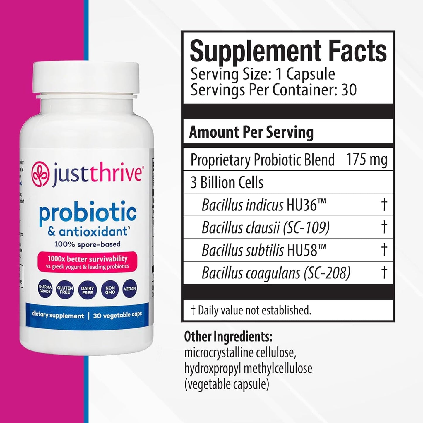 Effective Probiotics & Antioxidants Gut Health Supplement