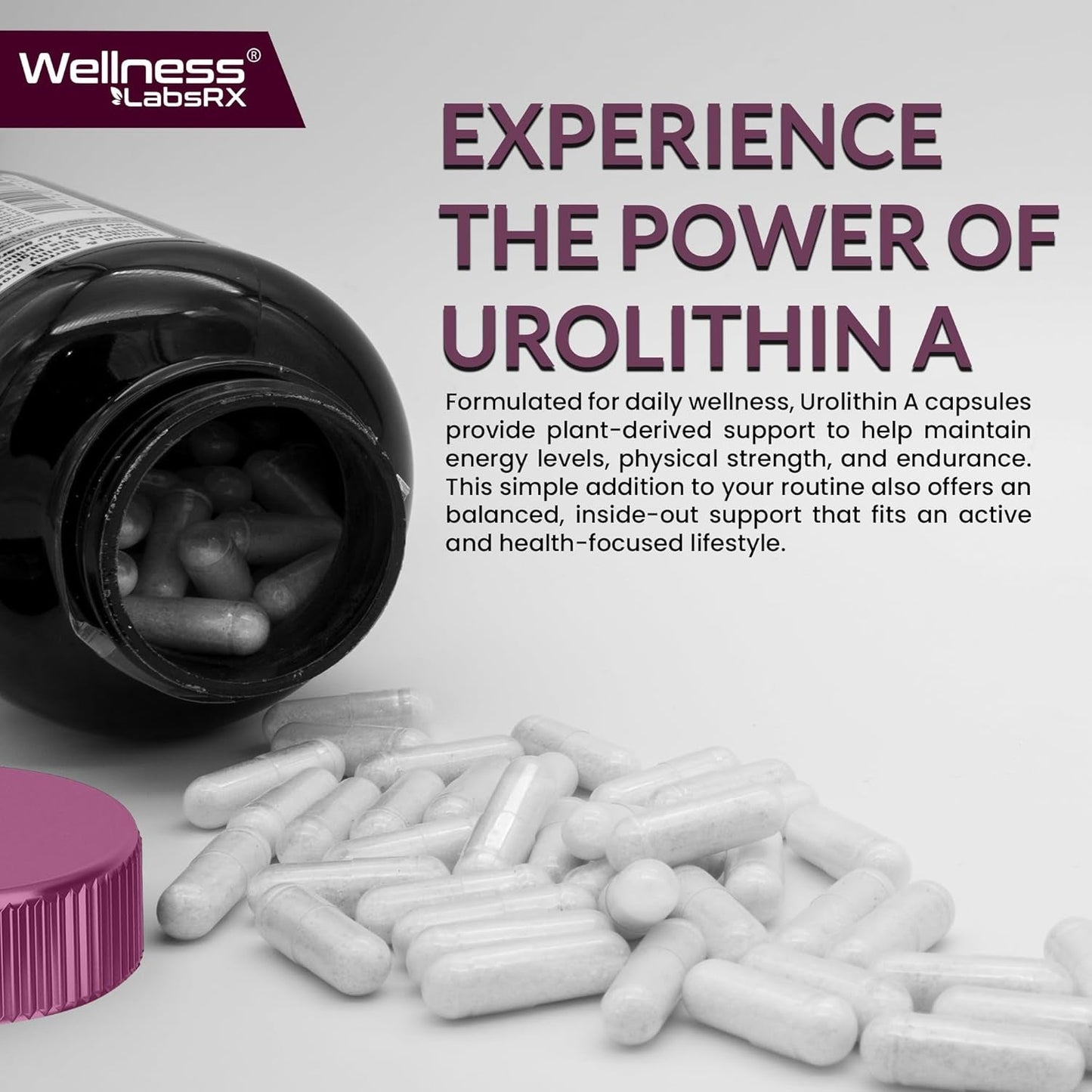 Powerful Anti Aging Cell Renewal Supplements