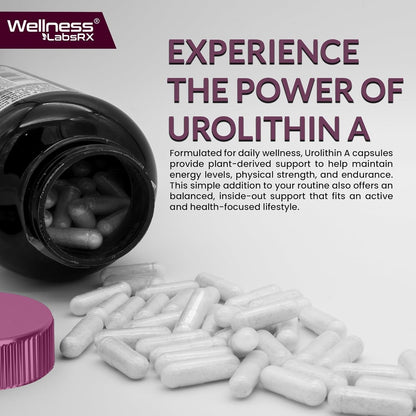 Powerful Anti Aging Cell Renewal Supplements