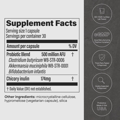 Natural Probiotic Supplement for Gut Health & Energy