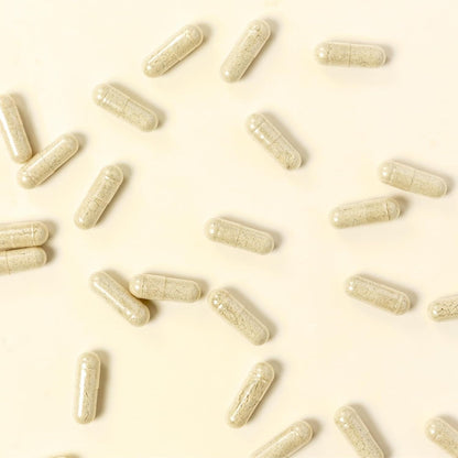 Natural Probiotic Digestive Supplement - 60 Capsules