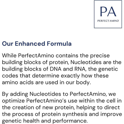 Probiotic Gut Health Supplement with Amino Acids