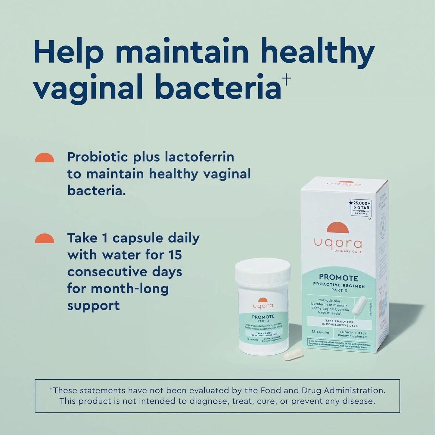 Natural Vaginal Probiotics with Lactobacillus Support