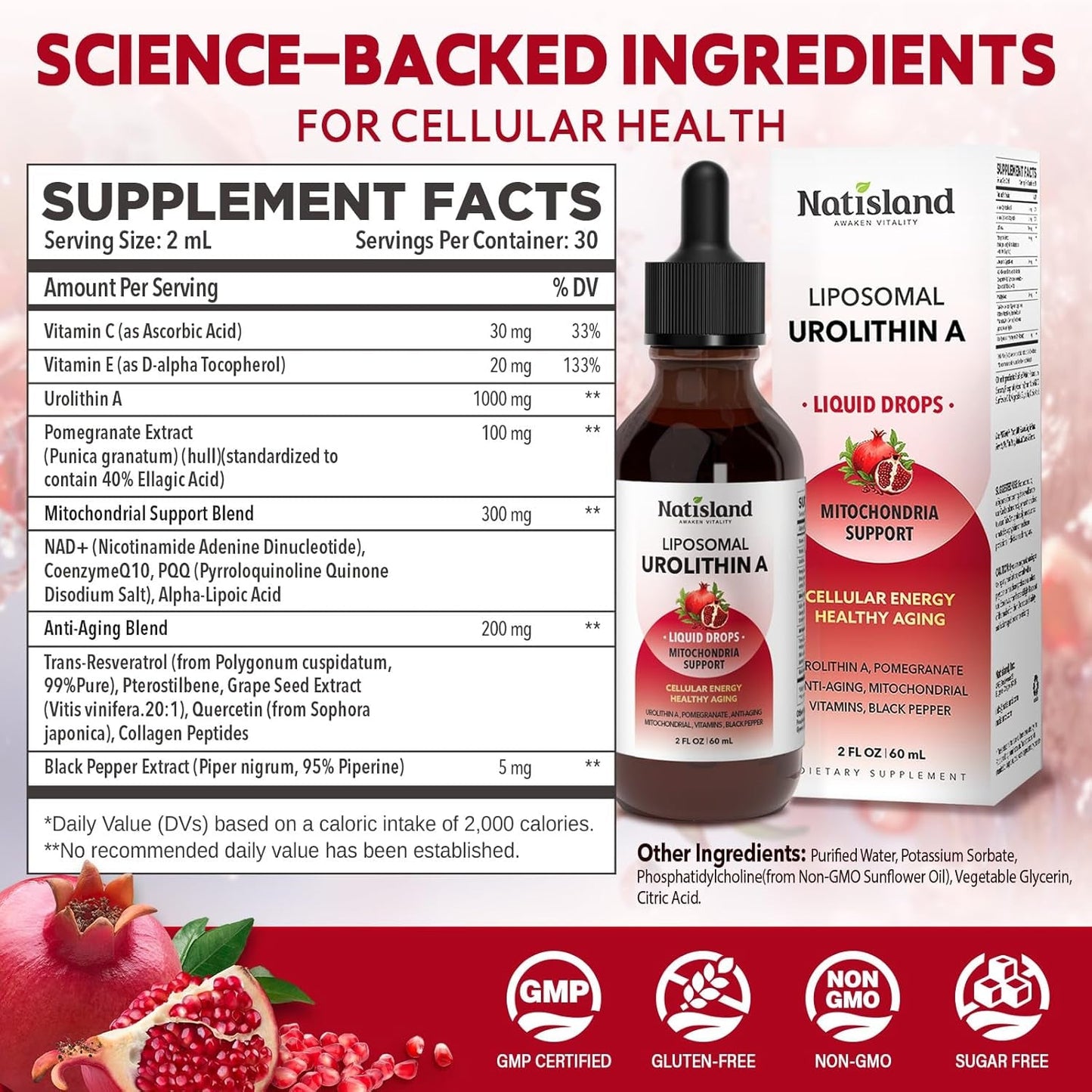 Powerful Anti Aging Liposomal Urolithin A Liquid Drops