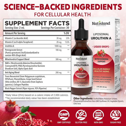 Powerful Anti Aging Liposomal Urolithin A Liquid Drops
