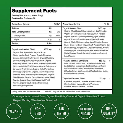 Green Food Supplement Powder - Natural Berry 30 Servings