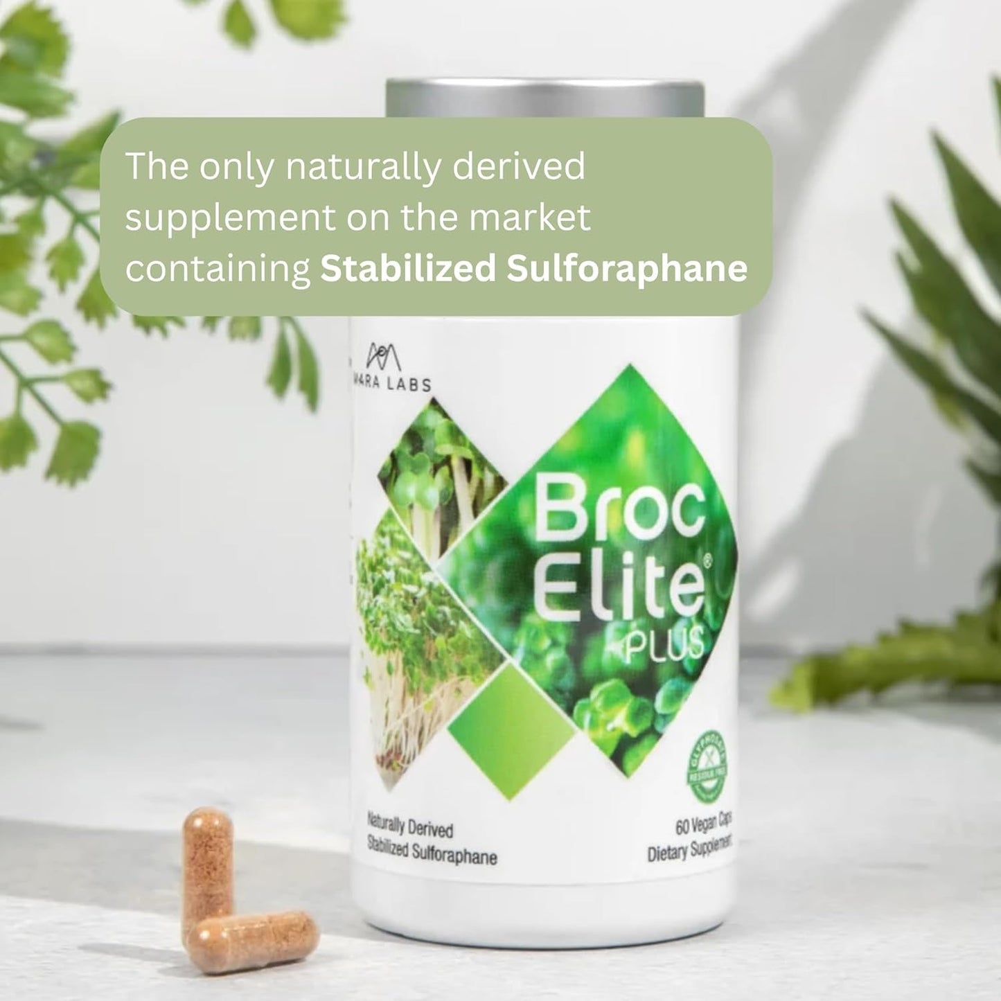 Premium Immune Boost Supplement 60 Capsules