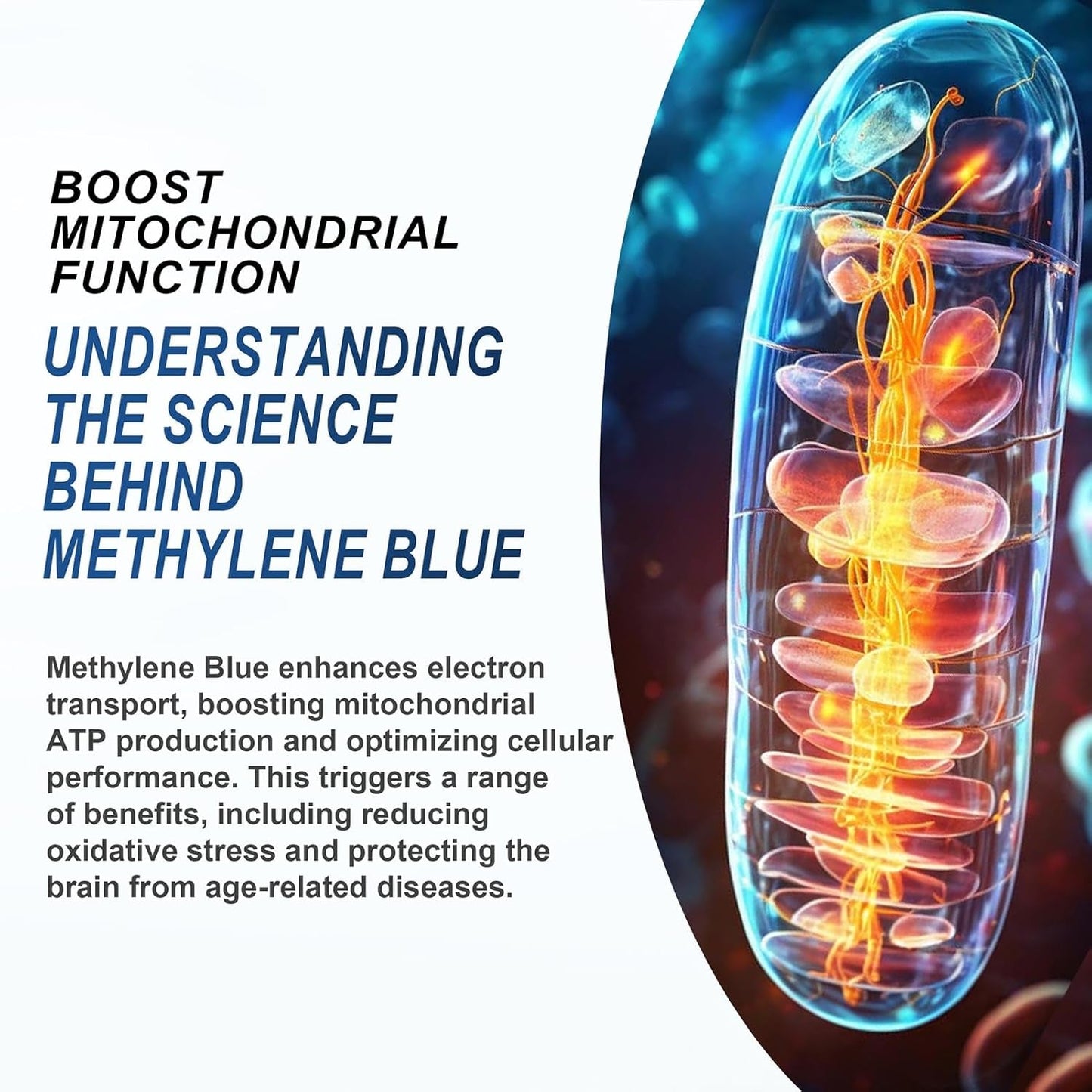 Strong Methylene Blue Supplement 5% 120ml Mito Booster