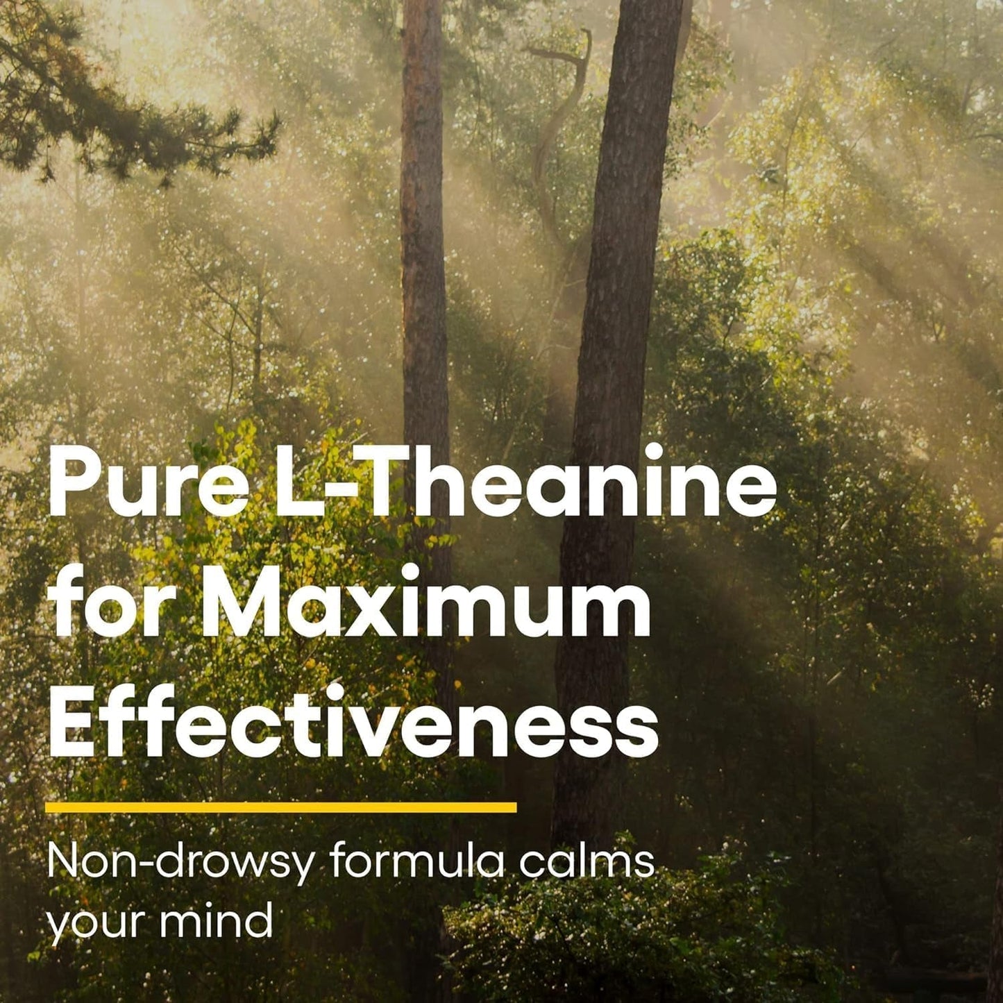 Calming L-Theanine 100mg Tablets - Fast Relaxation Supplement