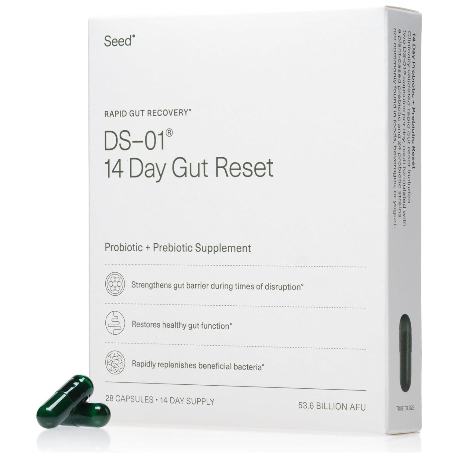 Natural Gut Health Supplement - 28 Capsules - Mycosmeticslondon