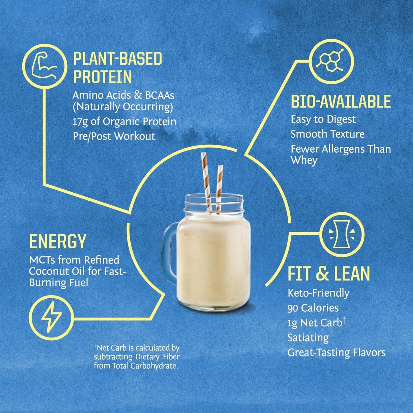 Natural Plant Protein Powder for Muscle Recovery