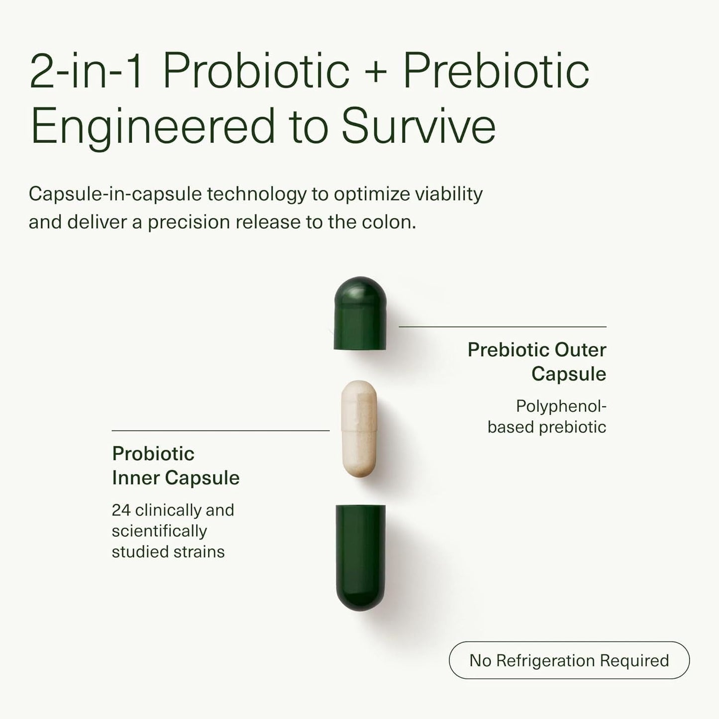 Natural Gut Health Supplement - 28 Capsules