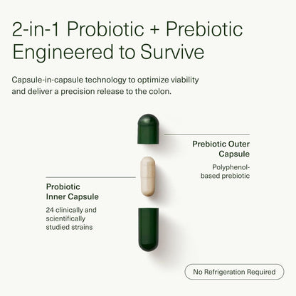 Natural Gut Health Supplement - 28 Capsules