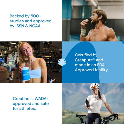 Vegan Creatine Gummies for Strength and Recovery