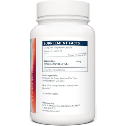 Premium Spermidine Capsules for Anti Aging Support
