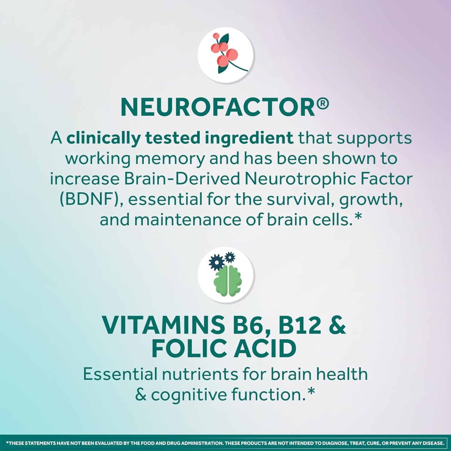 Brain Health Supplement 50 Ct - Memory & Focus Booster