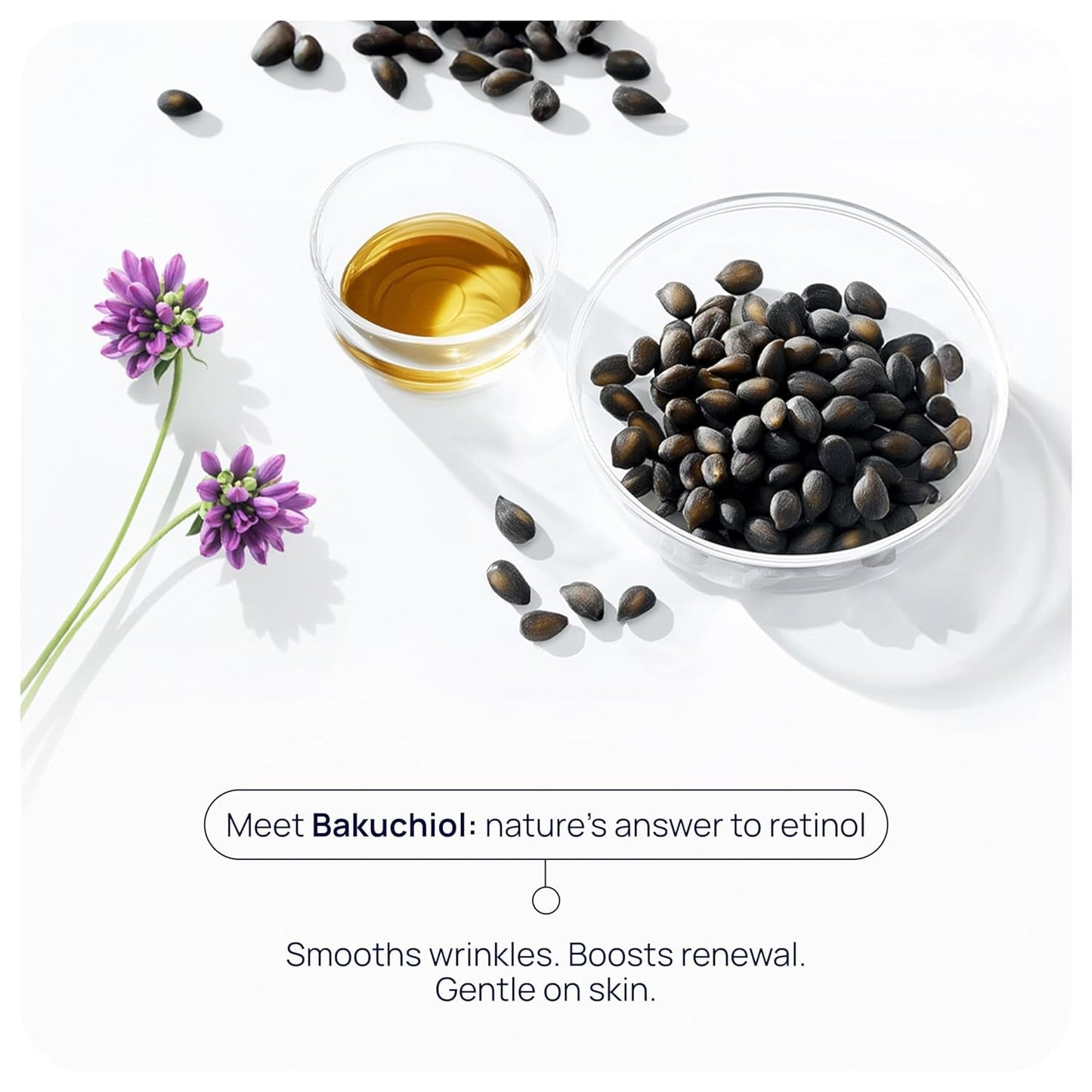 Natural Anti Aging Face Serum - Reduces Wrinkles