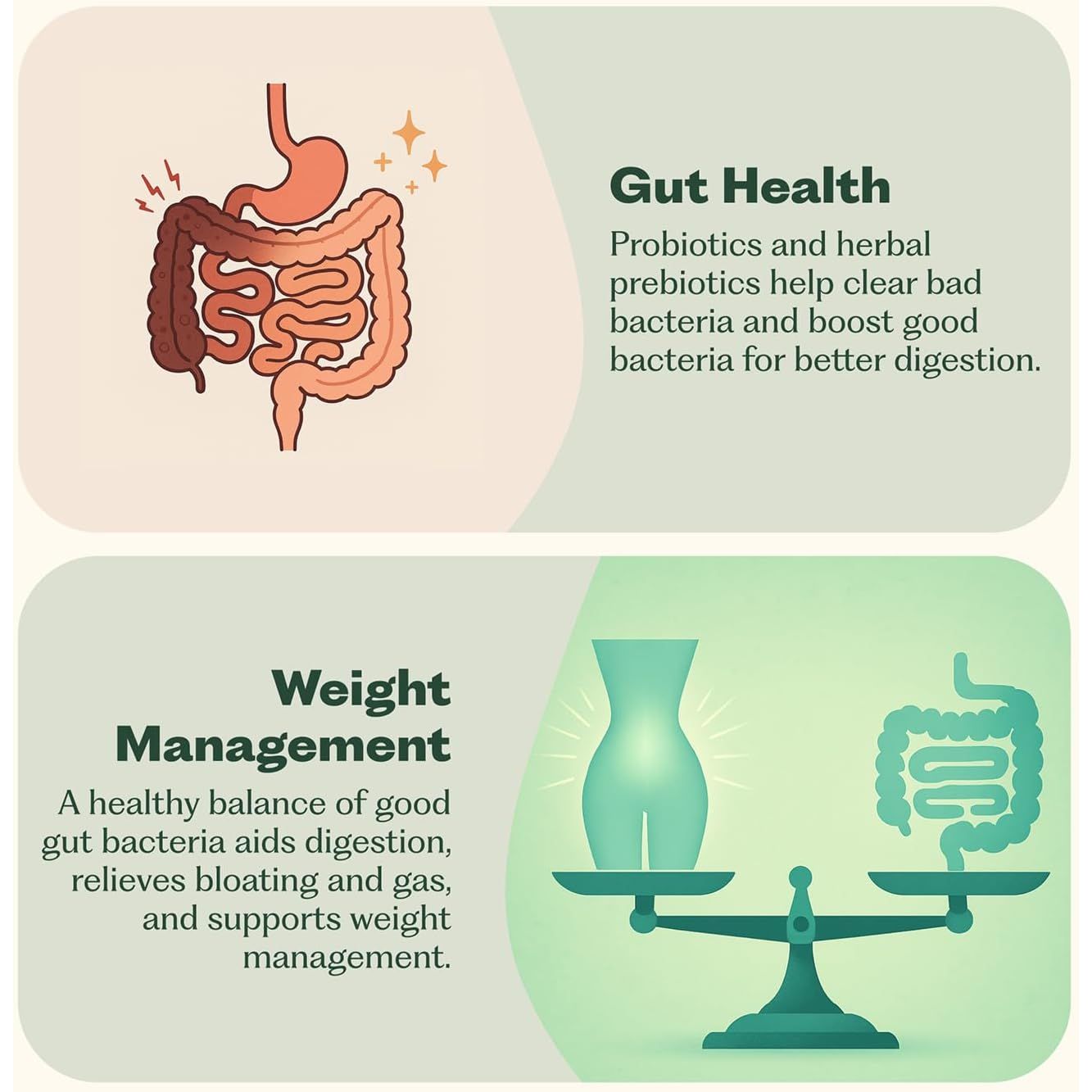 Probiotic Gut Health Supplement 30 Capsules