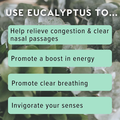 Natural Eucalyptus Essential Oil Vapor Sticks