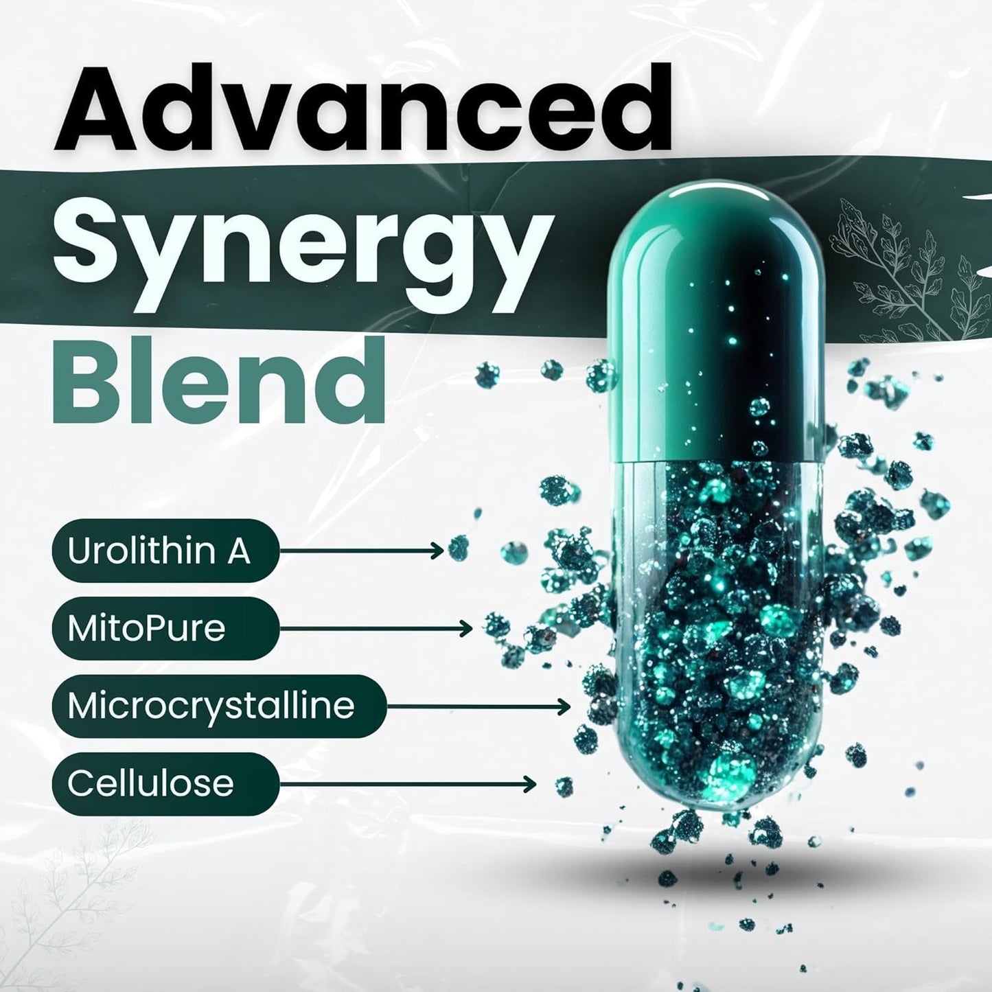 Powerful Anti Aging Cell Renewal Supplement - 60 Capsules