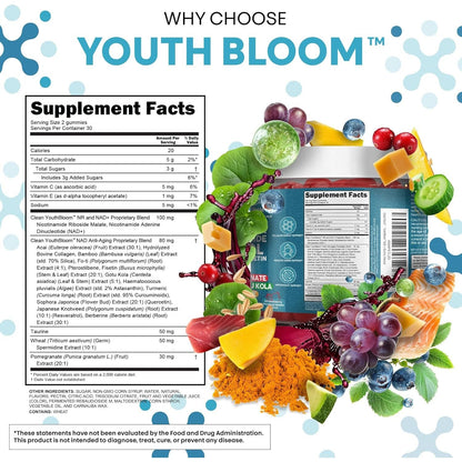 Natural Energy Boost NAD+ Gummies 60 Count