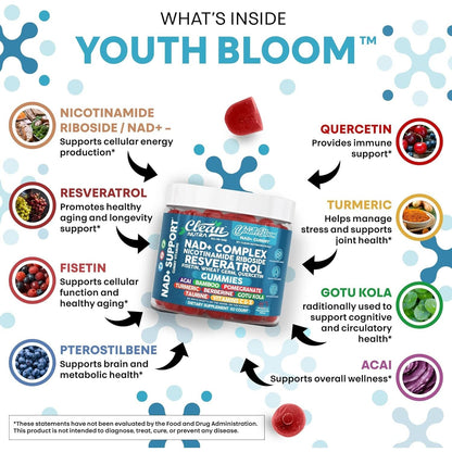 Natural Energy Boost NAD+ Gummies 60 Count