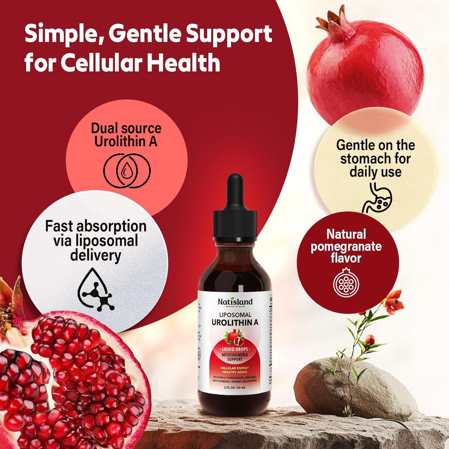 Powerful Anti Aging Liposomal Urolithin A Liquid Drops