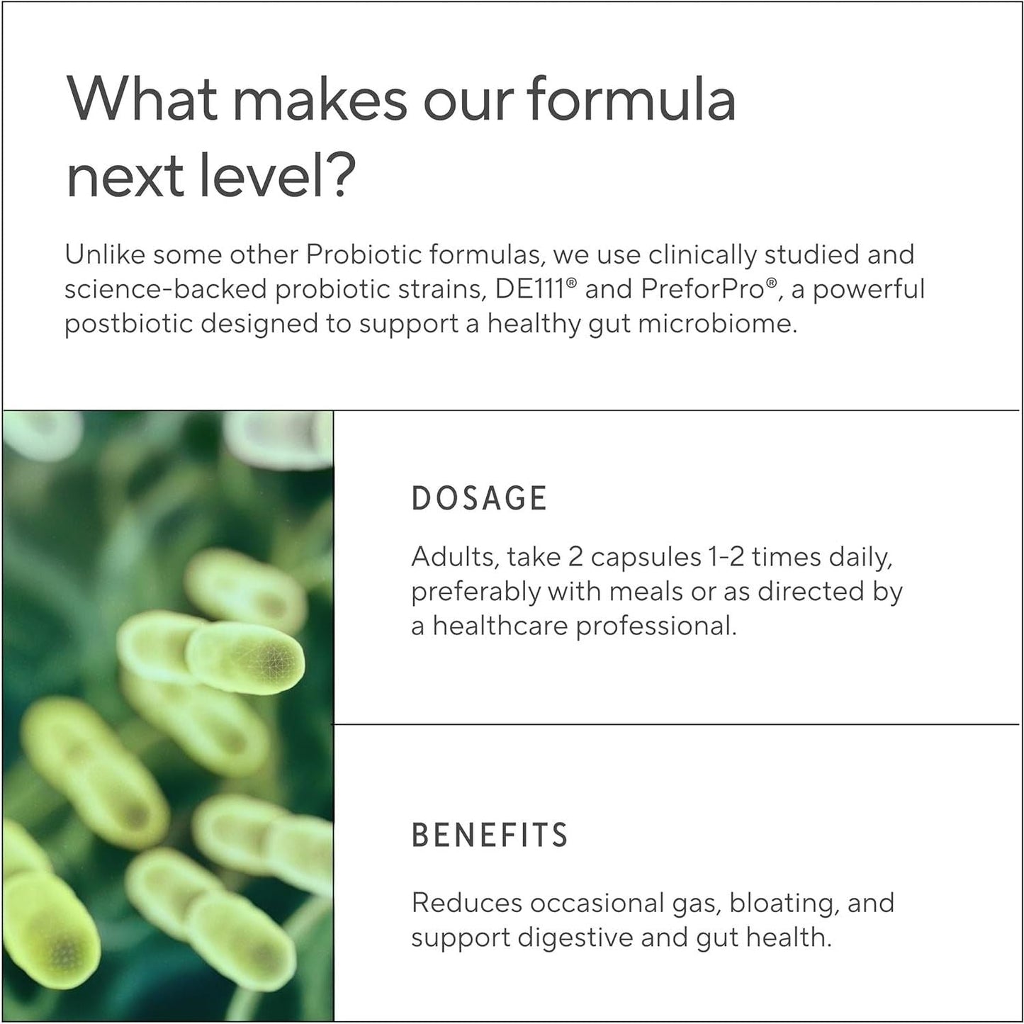 Advanced Probiotic with Enzymes for Gut Health