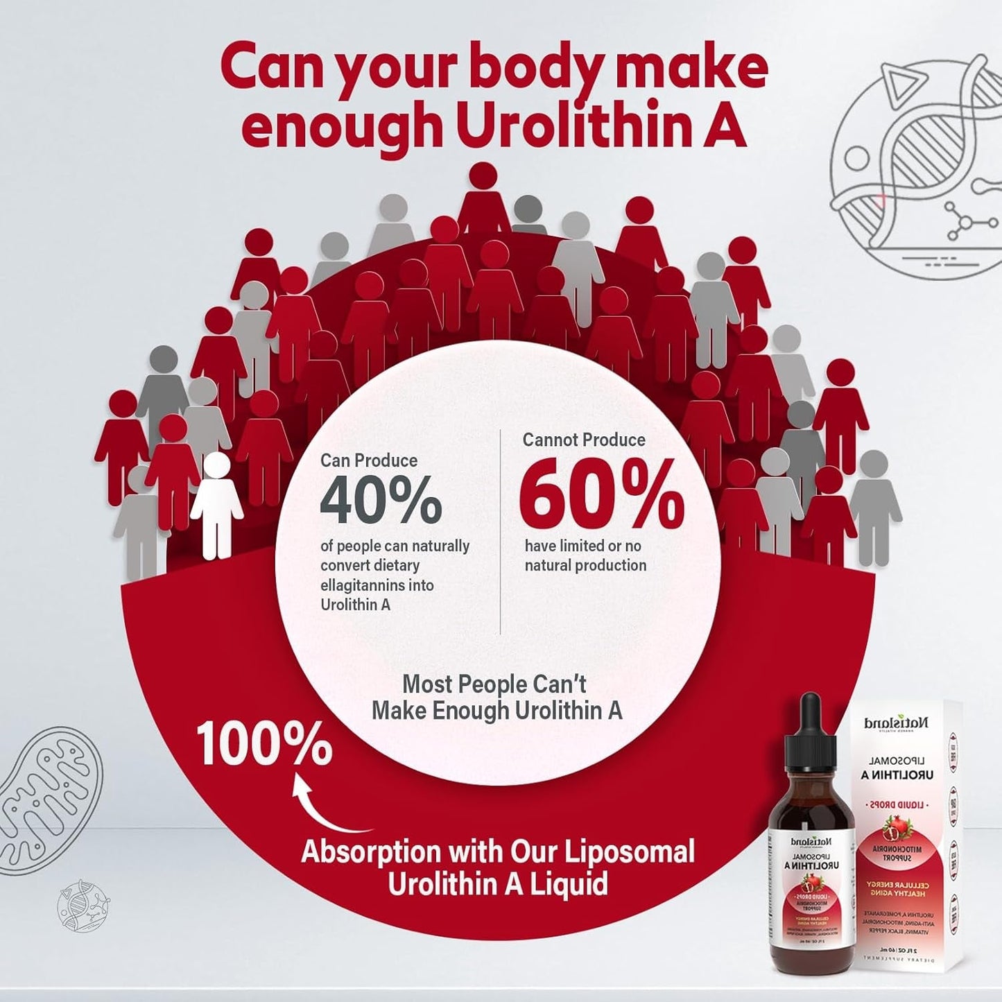 Powerful Anti Aging Liposomal Urolithin A Liquid Drops