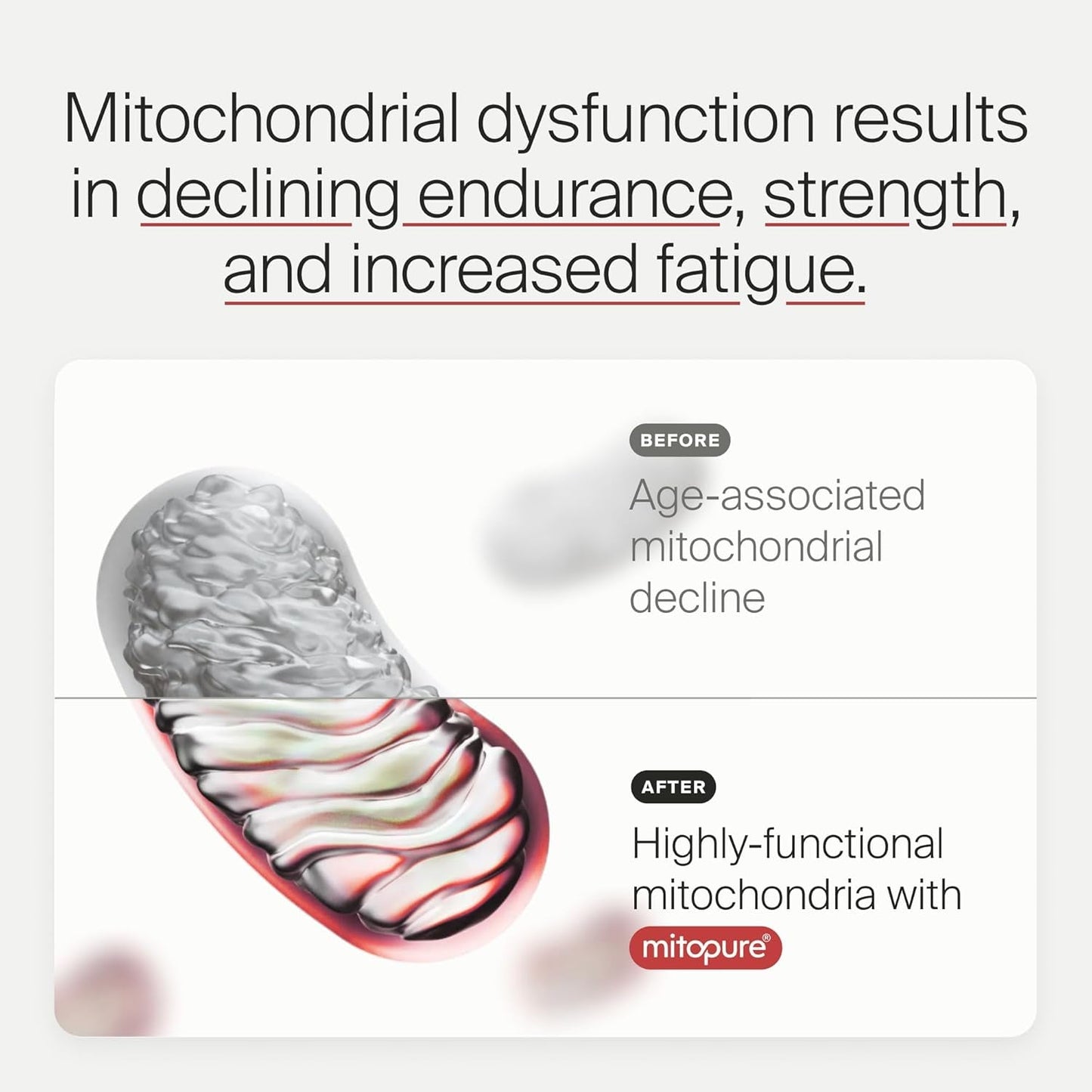 Premium Urolithin A Softgels for Cellular Health Boost