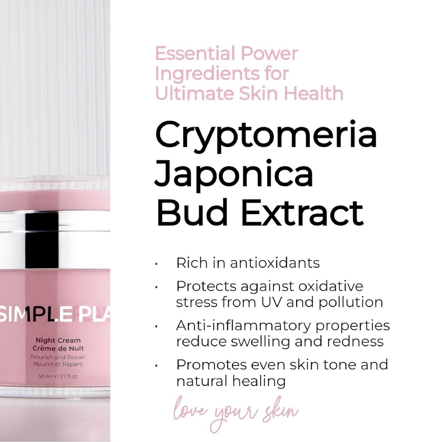 Rich Night Moisturizer 50ml Intensive Skin Hydration Cream