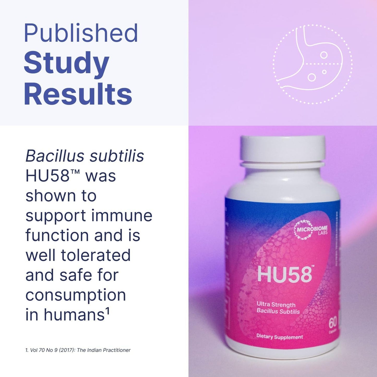 Strong Probiotic Capsules for Gut Health & Immunity