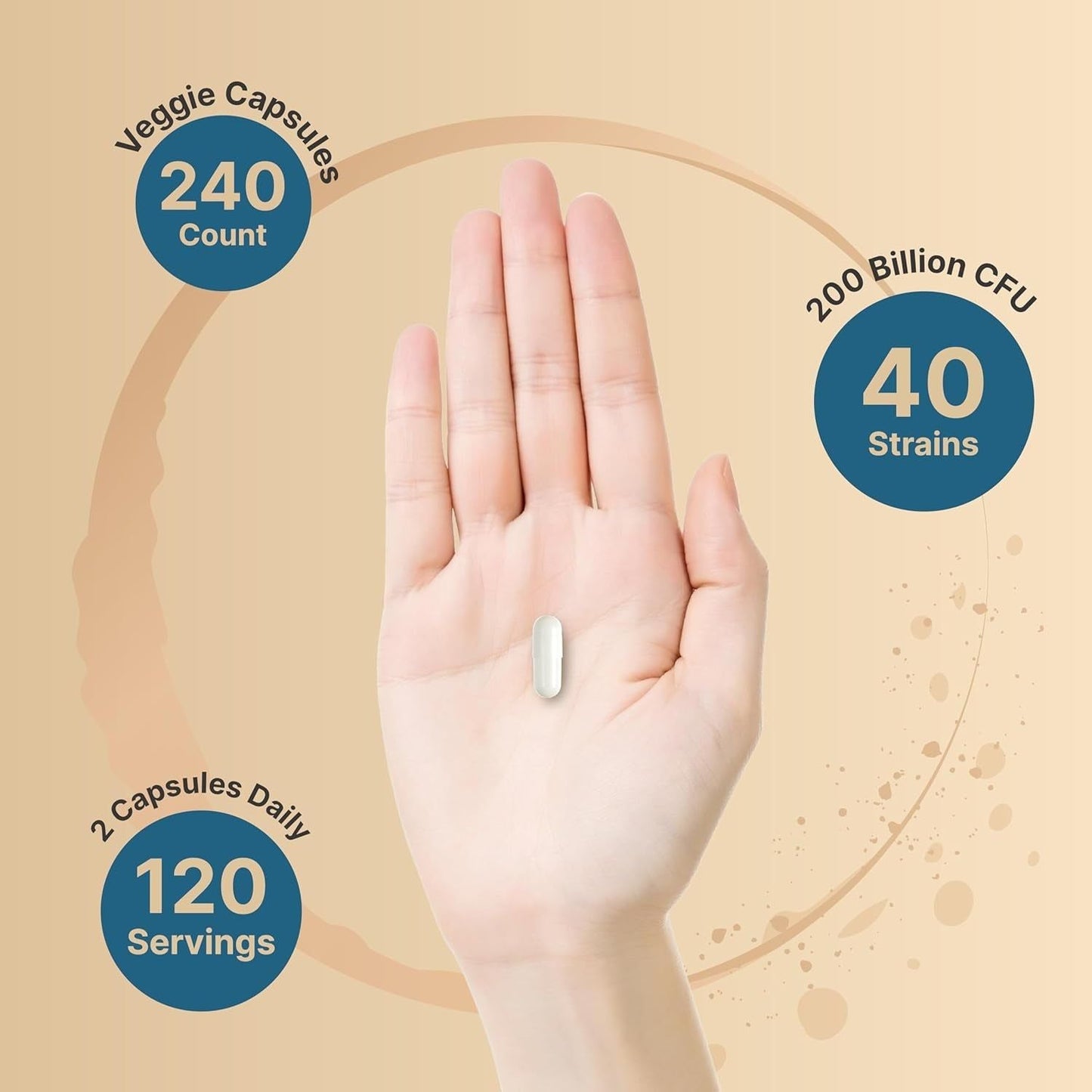 Complete Gut Health Supplement - 240 Veggie Caps