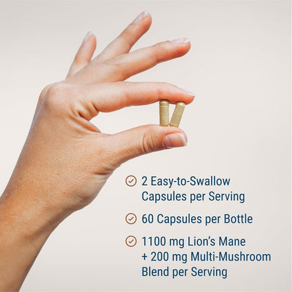 Natural Brain Boost Mushroom Supplement Capsules