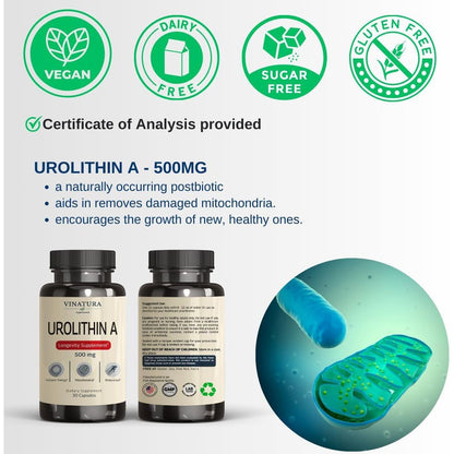 Powerful Anti Aging Supplement Capsules